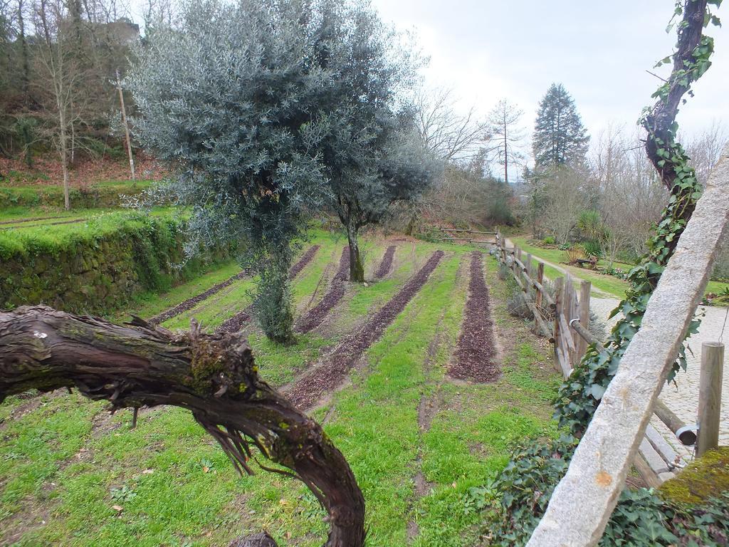 Villa Quinta Do Caritel Vouzela Habitación foto