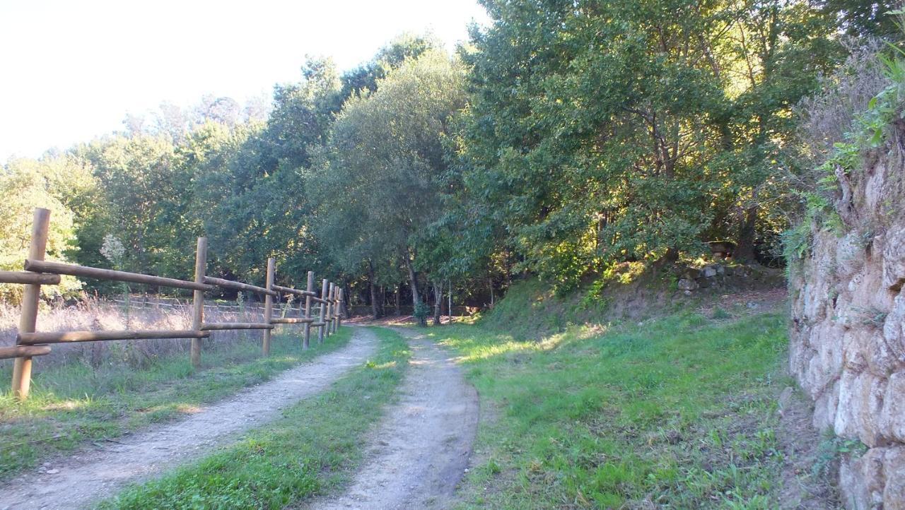 Villa Quinta Do Caritel Vouzela Exterior foto
